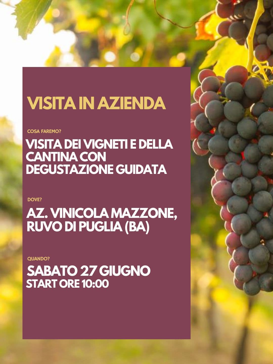 Visita azienda Mazzone