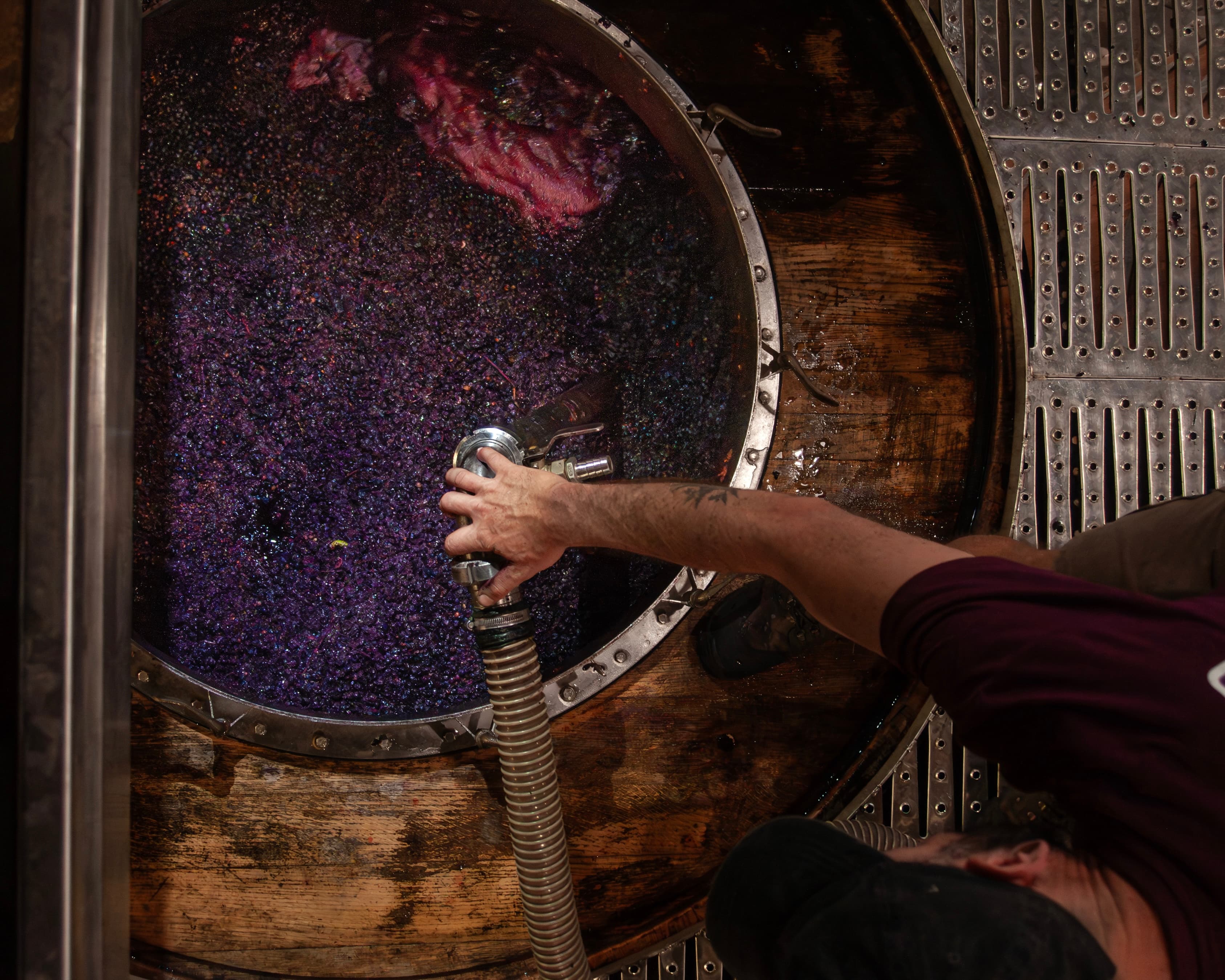 Lavoro in cantina durante la vendemmia